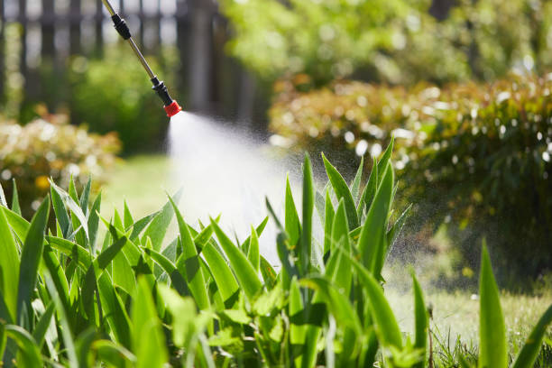 24/7 Emergency Fumigation Services experts in Mount Holly, NC